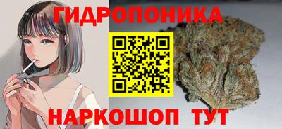 гидропоника Гусев