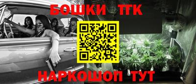 гидропоника Гусев